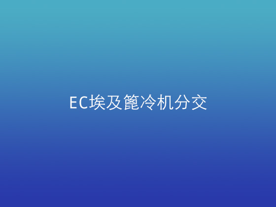 EC埃及篦冷機(jī)分交